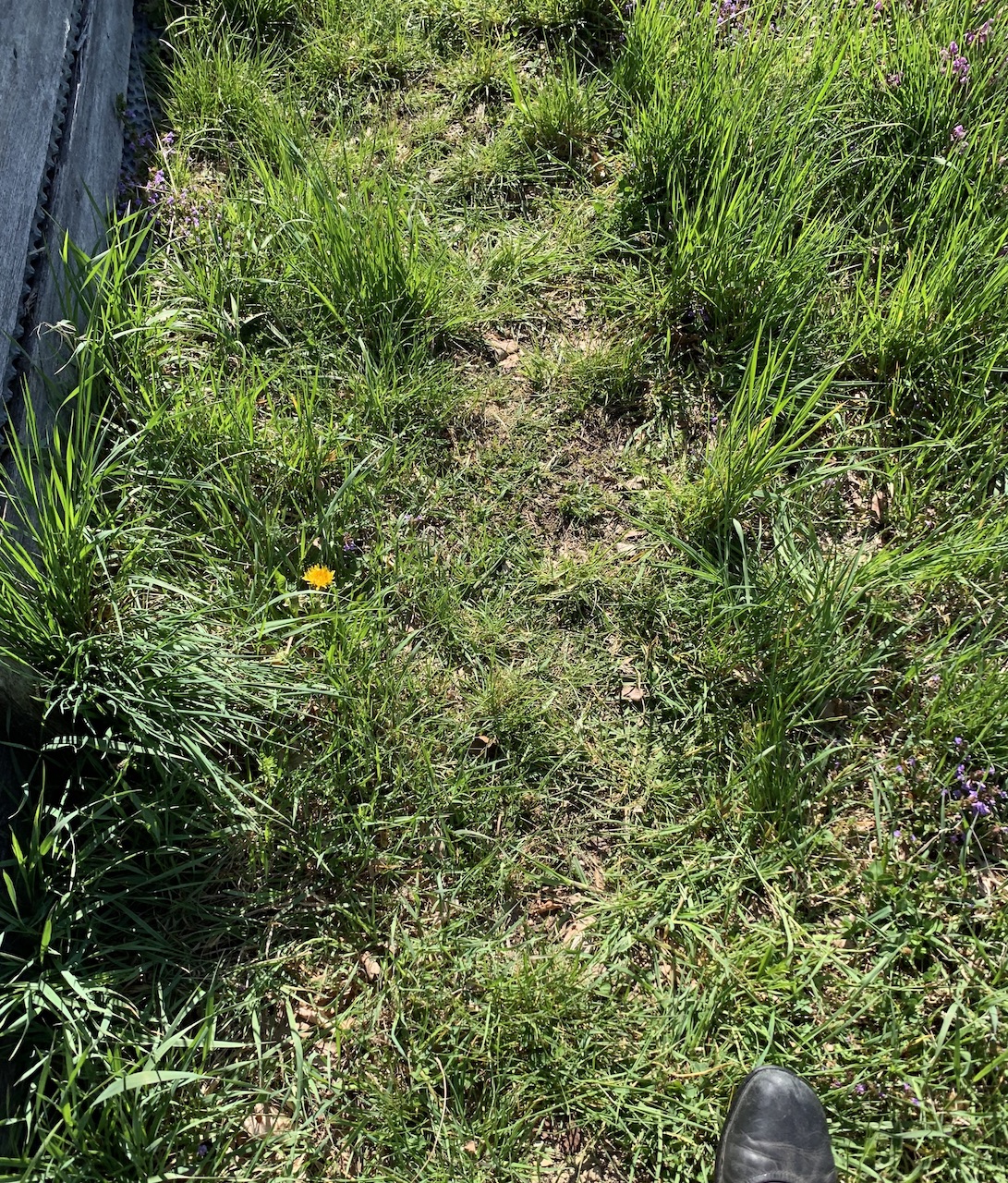 Huette_Garten_Beete_Weg2