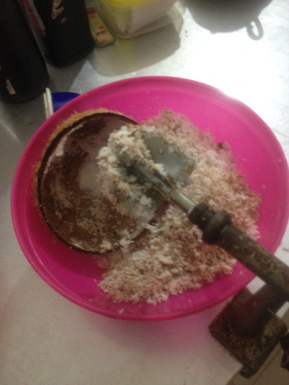 SriLanka_Kokos_1 Kopie