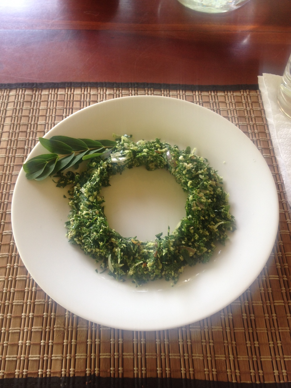 SriLanka_Salatring Kopie