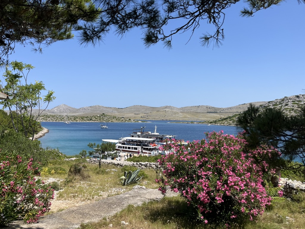 Zwei Ausflugsschiffe hintereinander am einzigen Anlegesteg der Insel Lovrnaka im Kornati-Nationalpark – Blick durch Oleander und Pinien auf das Meer.
